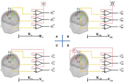 Unified Bayesian Estimator of EEG Reference at Infinity: rREST (Regularized Reference Electrode Standardization Technique)